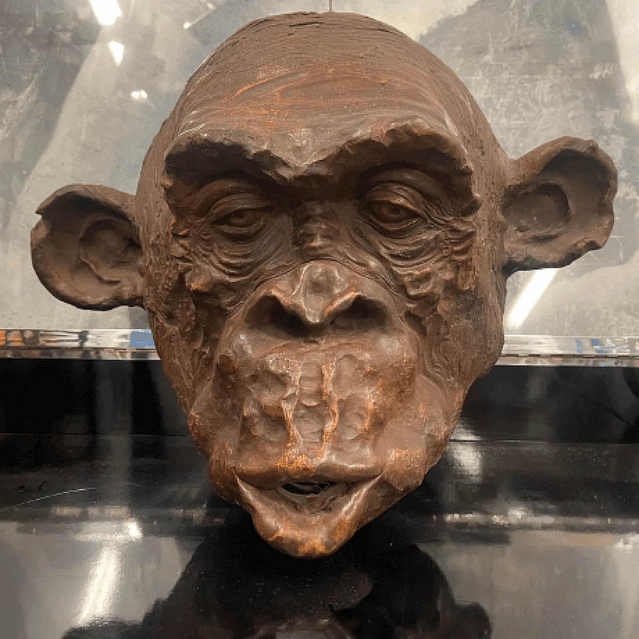 Angelo Zanella, bonobo monkey head, terracotta sculpture, 2018 2