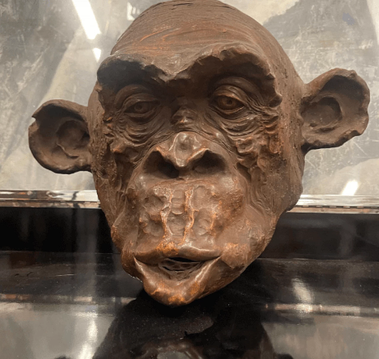 Angelo Zanella, bonobo monkey head, terracotta sculpture, 2018 3