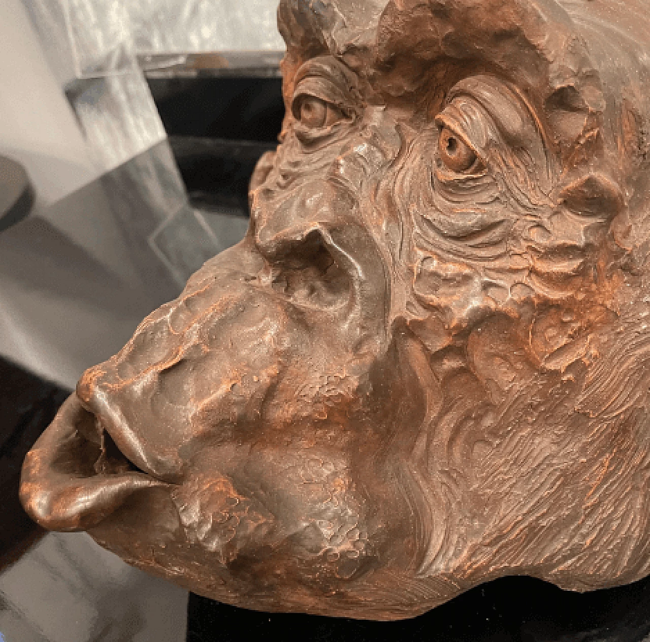 Angelo Zanella, bonobo monkey head, terracotta sculpture, 2018 10