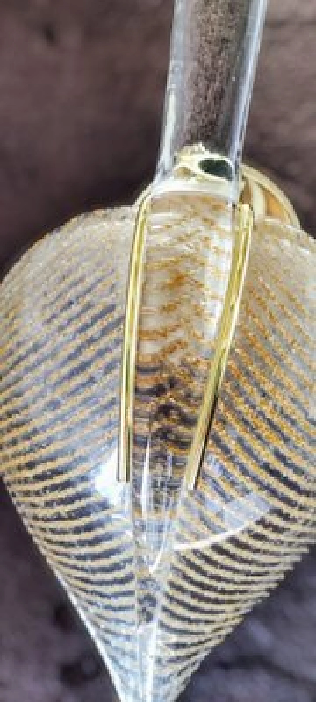 Pair of transparent and gilded Murano glass leaf wall lights, 1980s 12