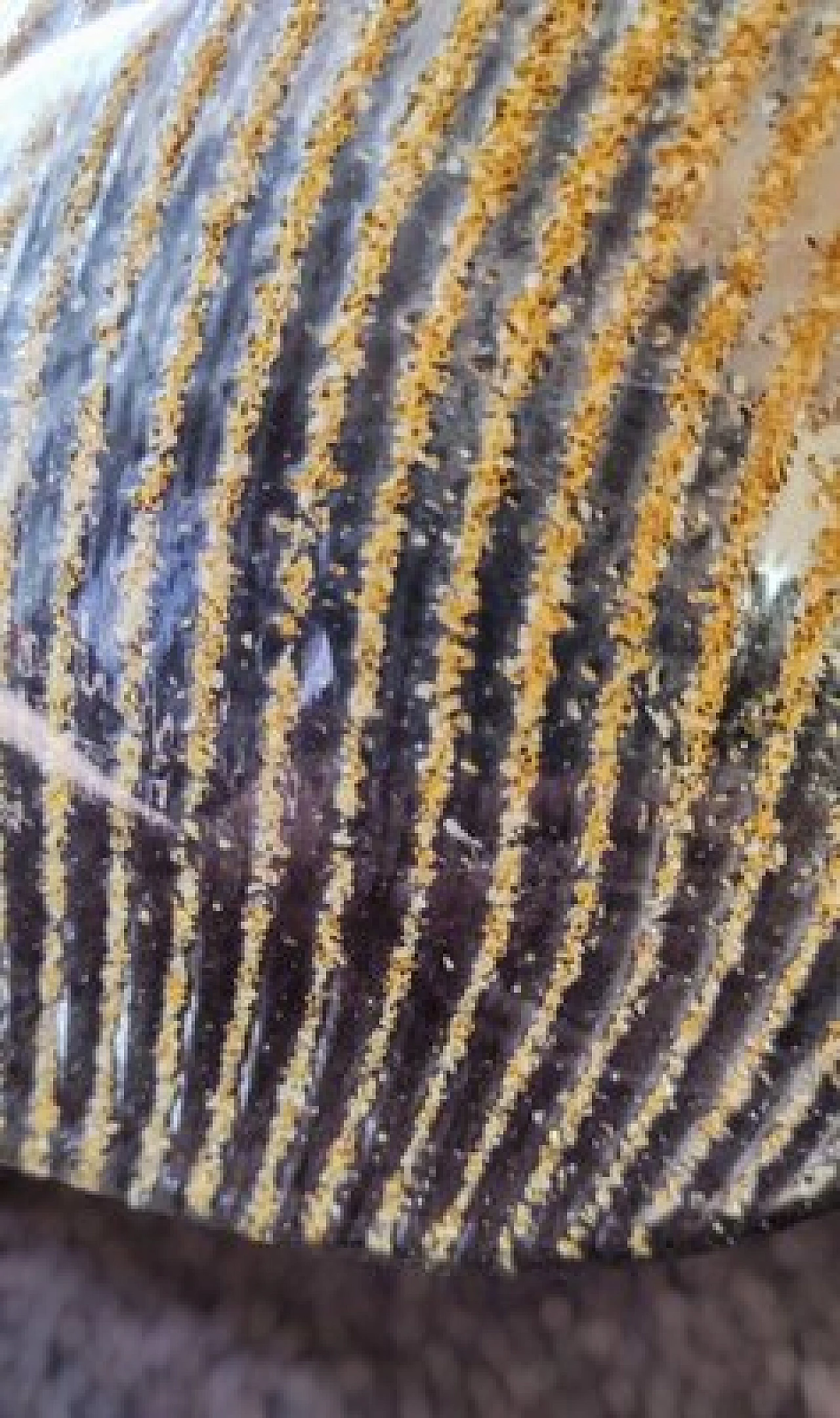 Pair of transparent and gilded Murano glass leaf wall lights, 1980s 13