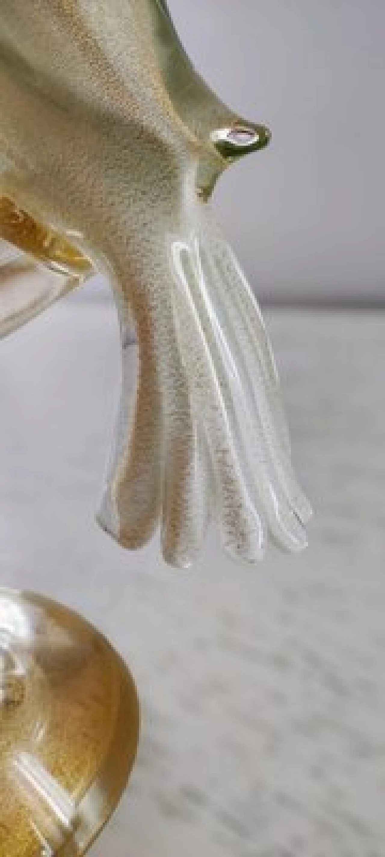 Murano glass bird sculpture by Livio Seguso for Salviati, 1980s 28