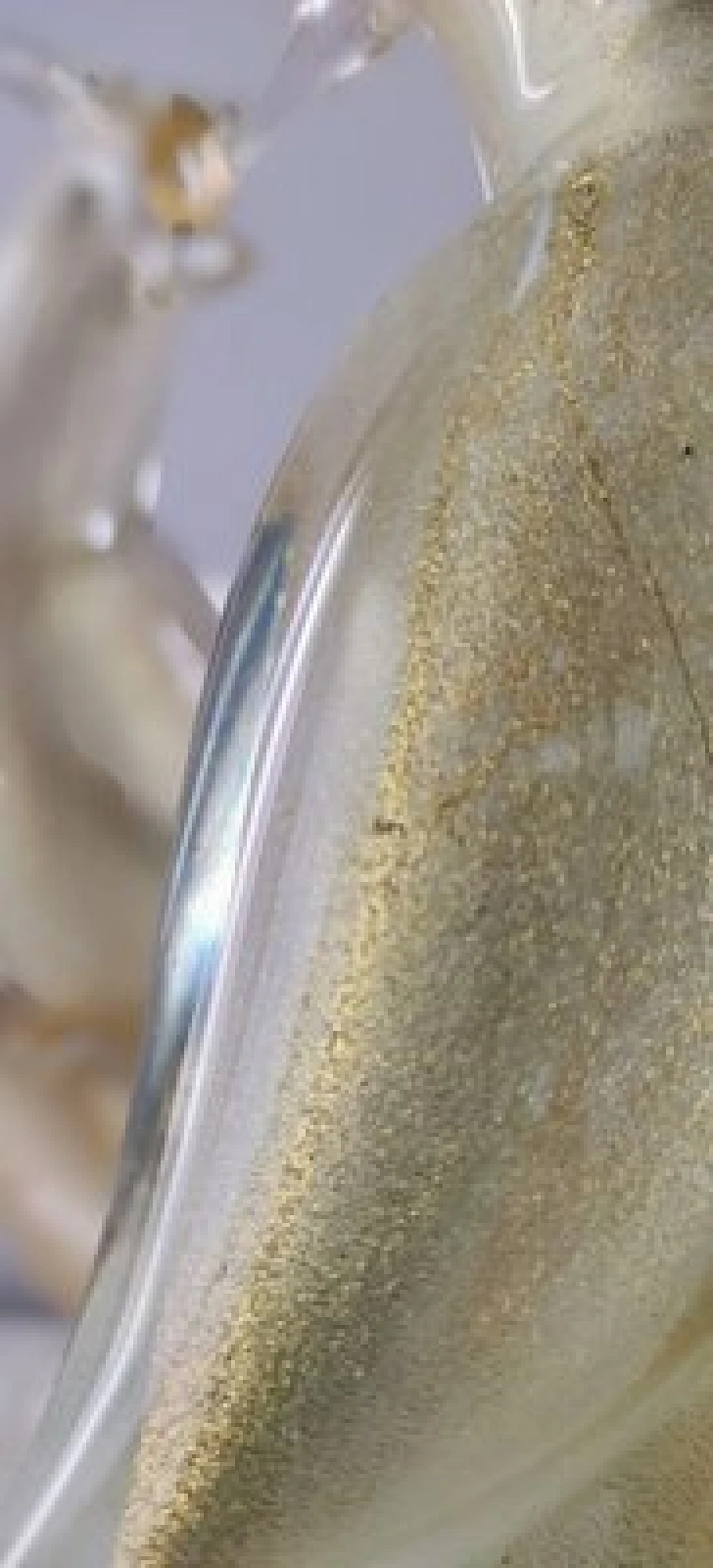 Murano glass bird sculpture by Livio Seguso for Salviati, 1980s 53