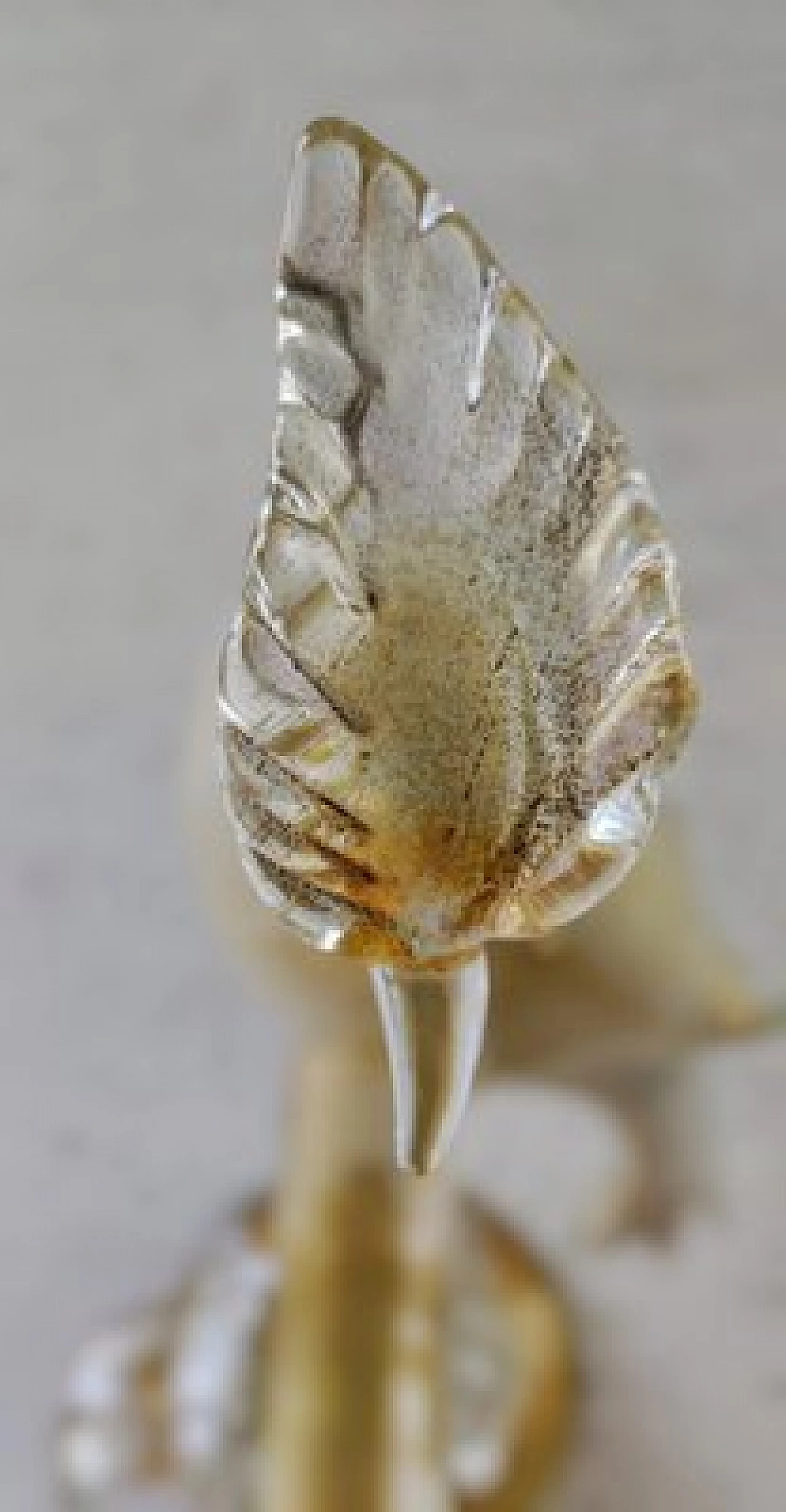 Murano glass bird sculpture by Livio Seguso for Salviati, 1980s 64