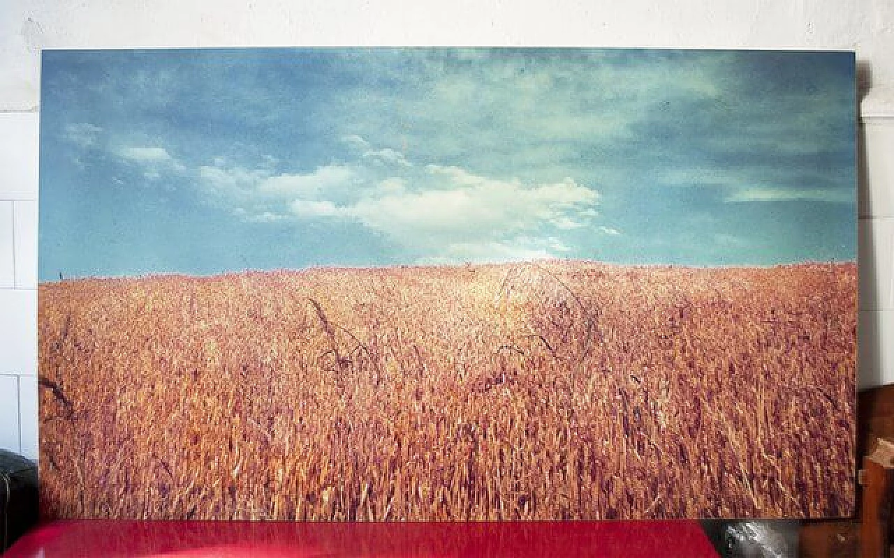 Luigi Ghirri per A. Villani & Figli, La Collina, stampa fotografica, 1976 1