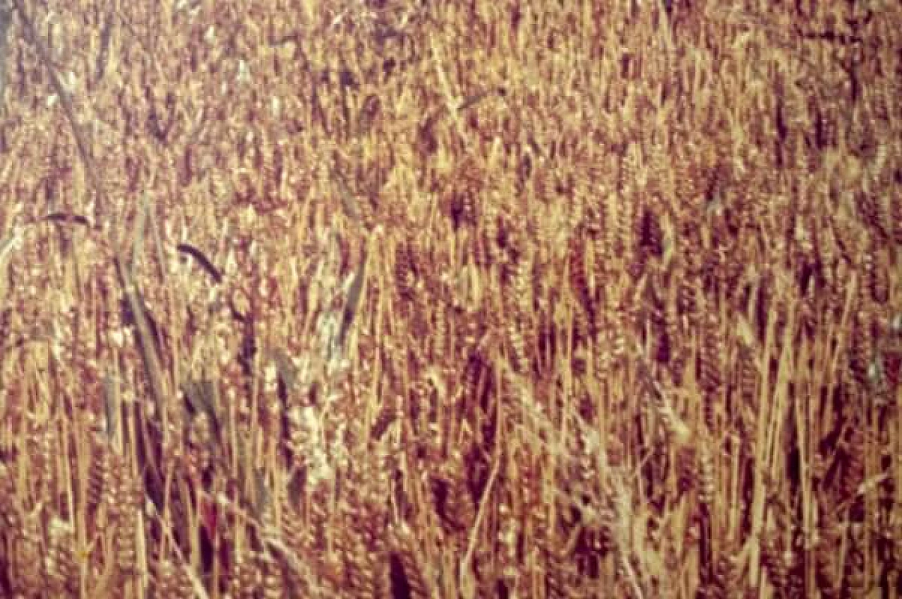 Luigi Ghirri per A. Villani & Figli, La Collina, stampa fotografica, 1976 2