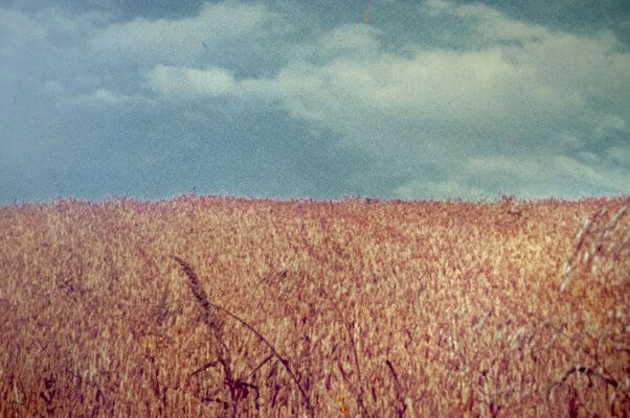 Luigi Ghirri per A. Villani & Figli, La Collina, stampa fotografica, 1976 3