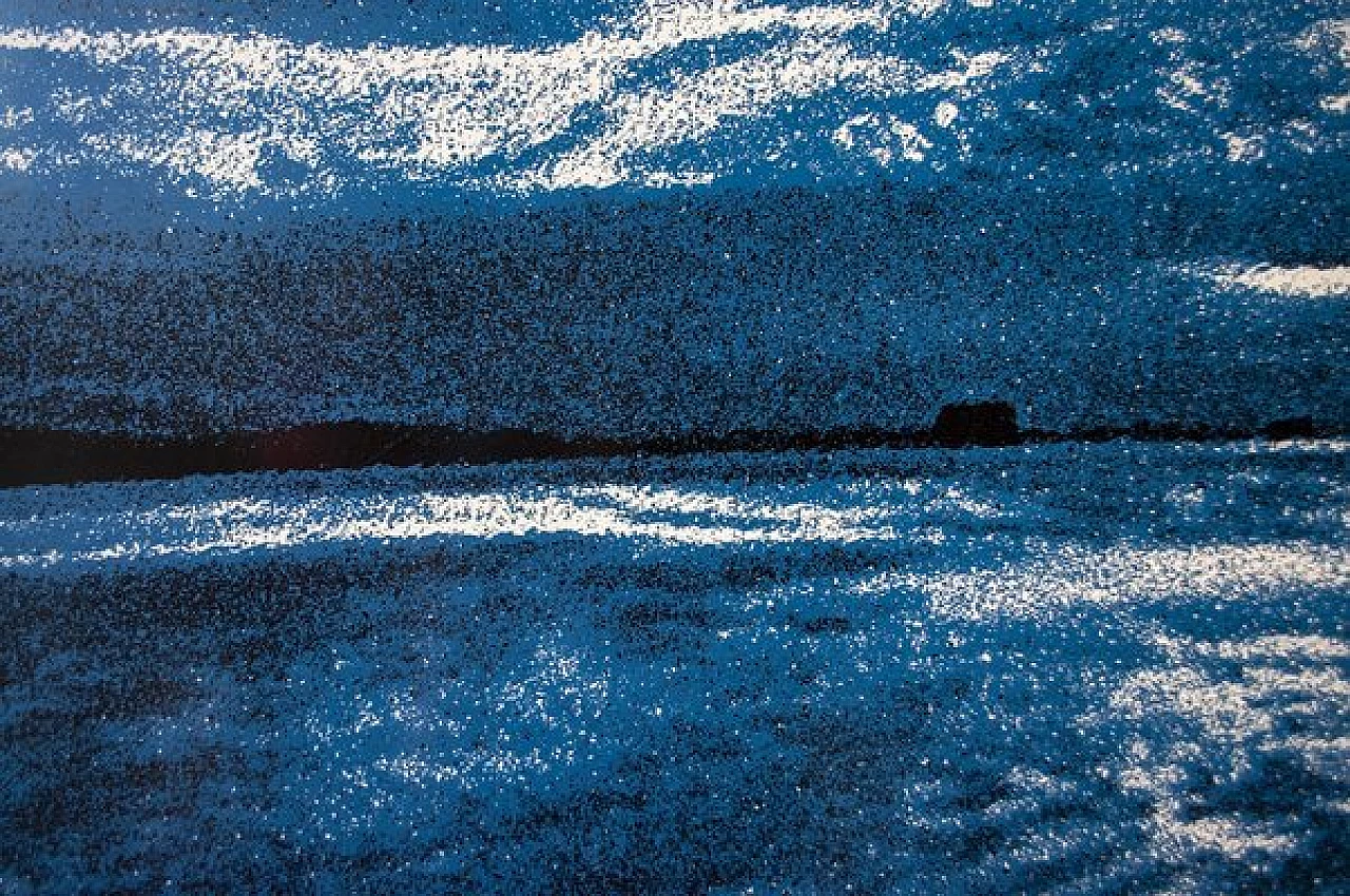 Franco Fontana per AMAR Collezioni Milano, nr. 87 serie 'natura, fotografia, 1976 2