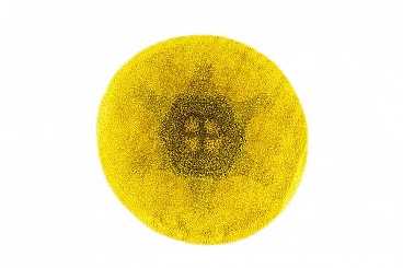 Yellow Rug from Desso, 1970s