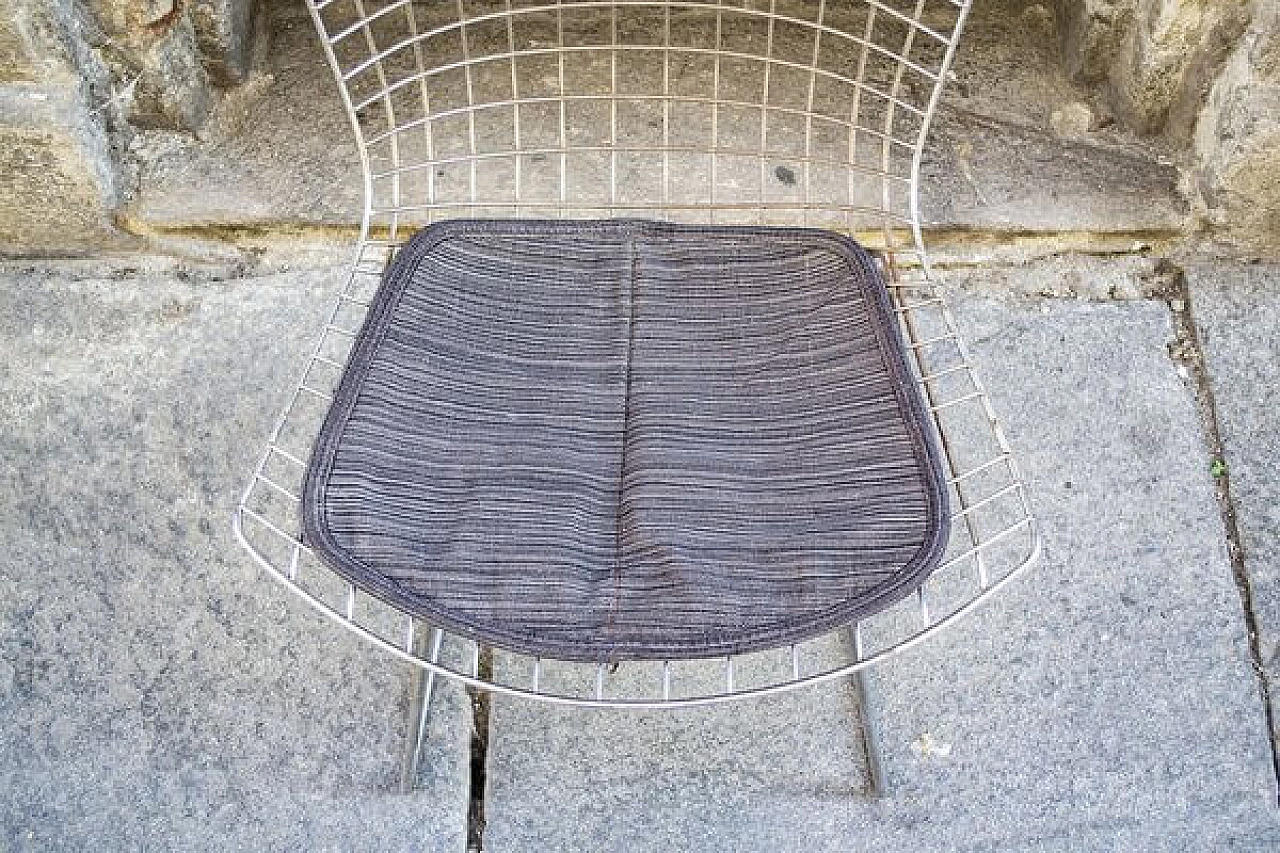6 Nr. 420 chairs by Harry Bertoia for Knoll International, 1950s 6