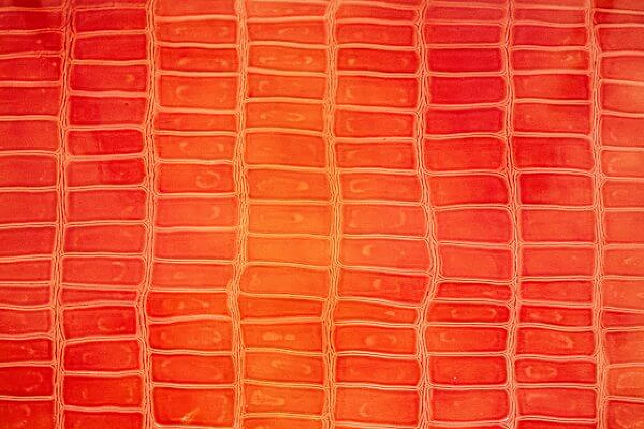 Coppia di sedie in ferro con tacchetti in legno e seduta in pelle, anni '60 7