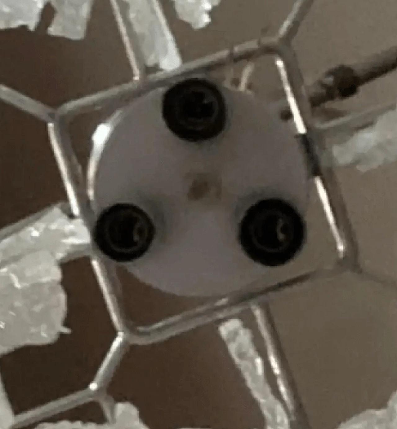 Frosted Murano glass chandelier by Mazzega, 1970s 6