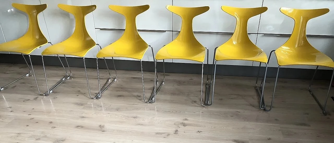 6 Yellow Delfy chairs by Gino Carollo for Ciacci Creaty 1