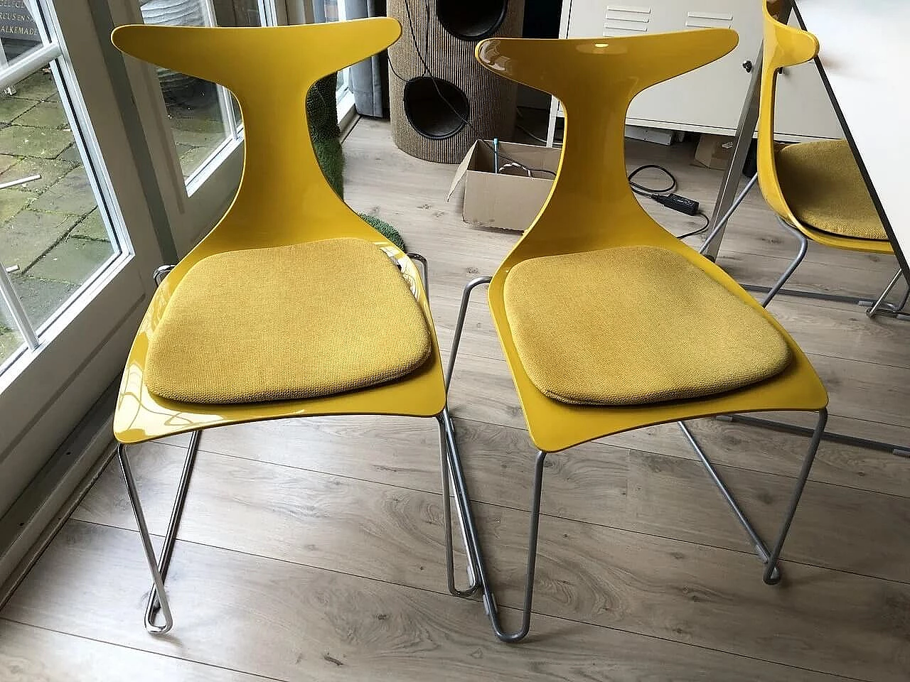 6 Yellow Delfy chairs by Gino Carollo for Ciacci Creaty 2