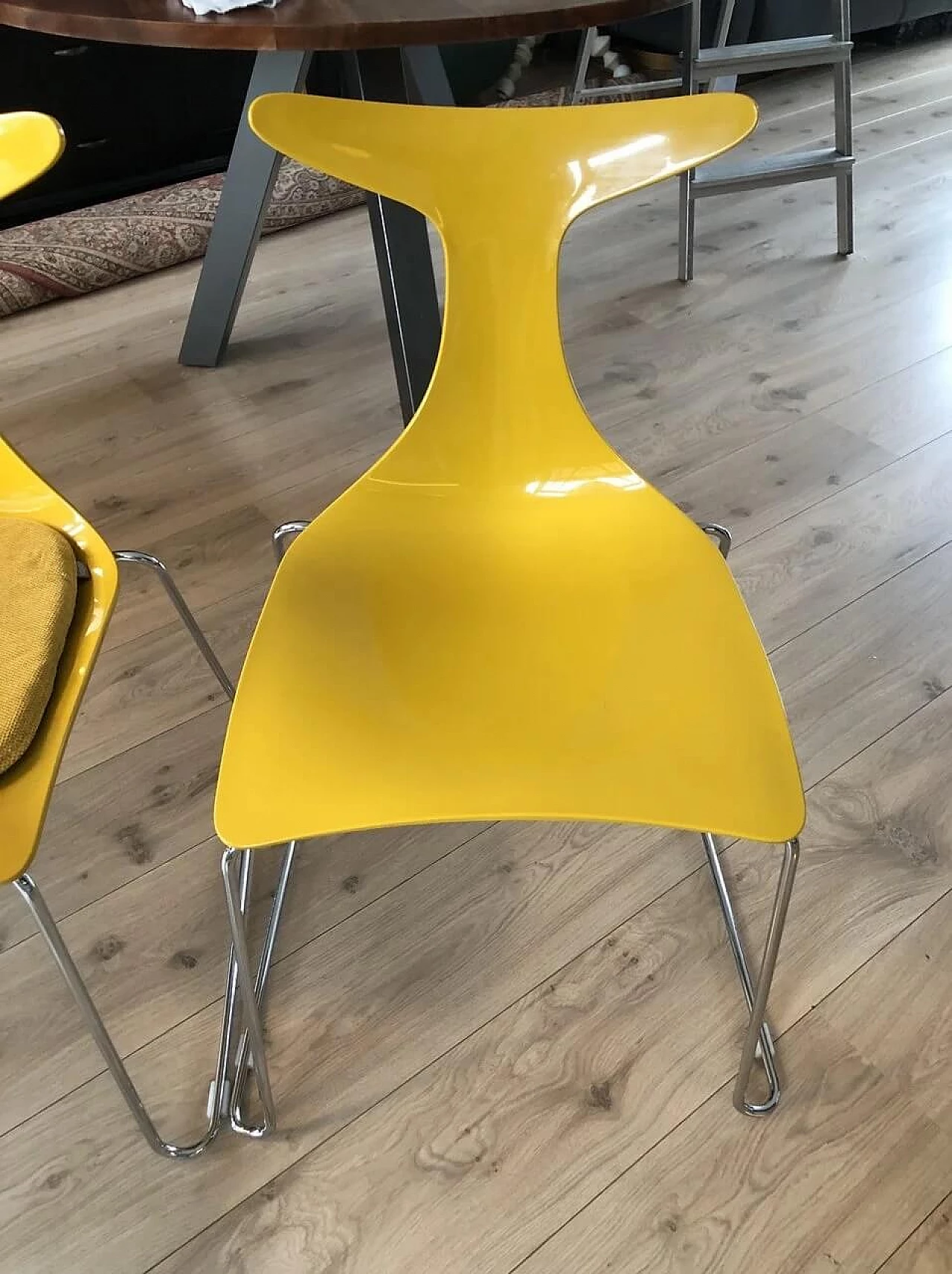 6 Yellow Delfy chairs by Gino Carollo for Ciacci Creaty 3