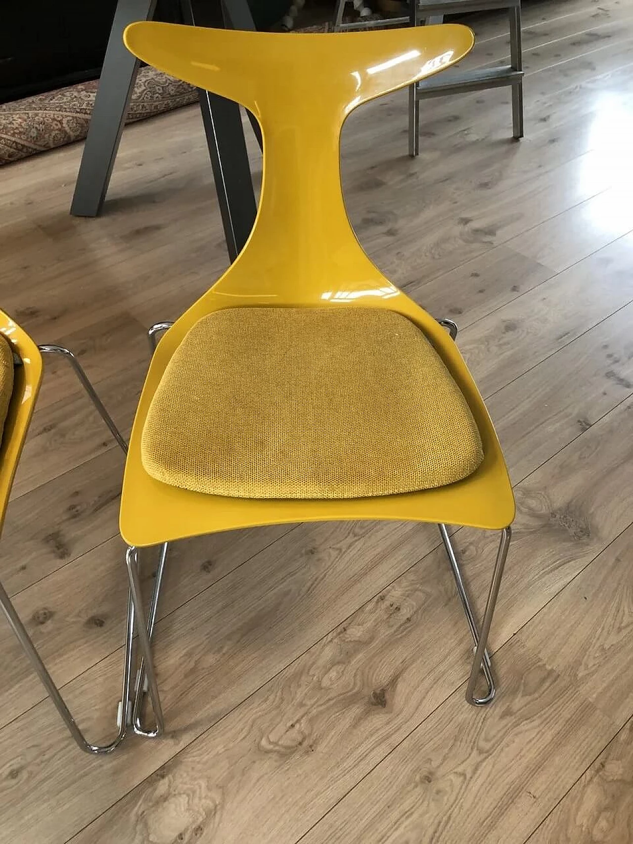 6 Yellow Delfy chairs by Gino Carollo for Ciacci Creaty 4