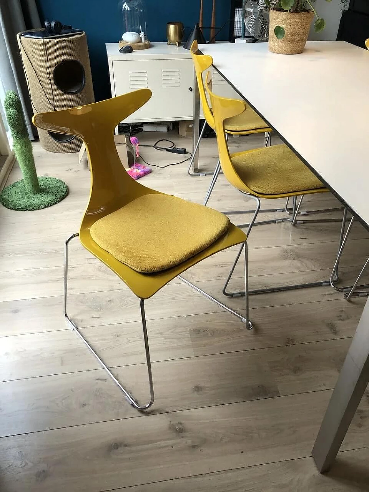 6 Yellow Delfy chairs by Gino Carollo for Ciacci Creaty 5