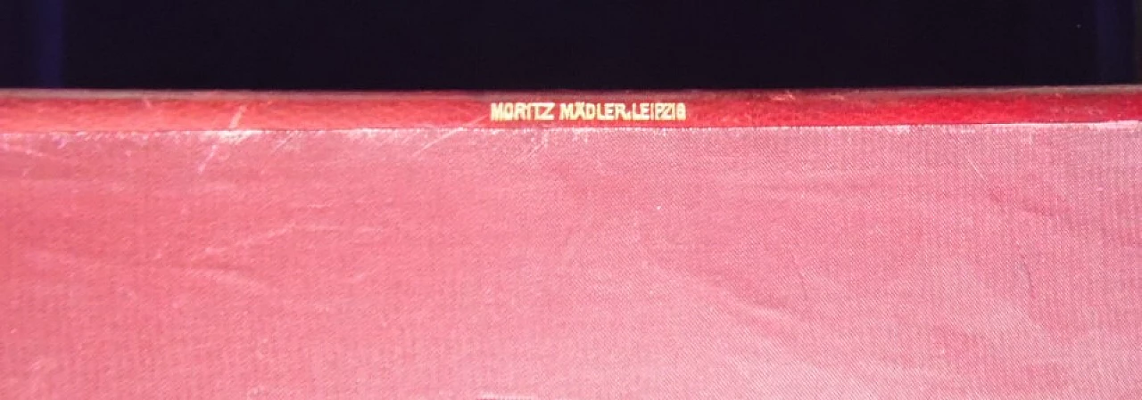 Necessaire da viaggio in avorio di Moritz Madler, '800 1
