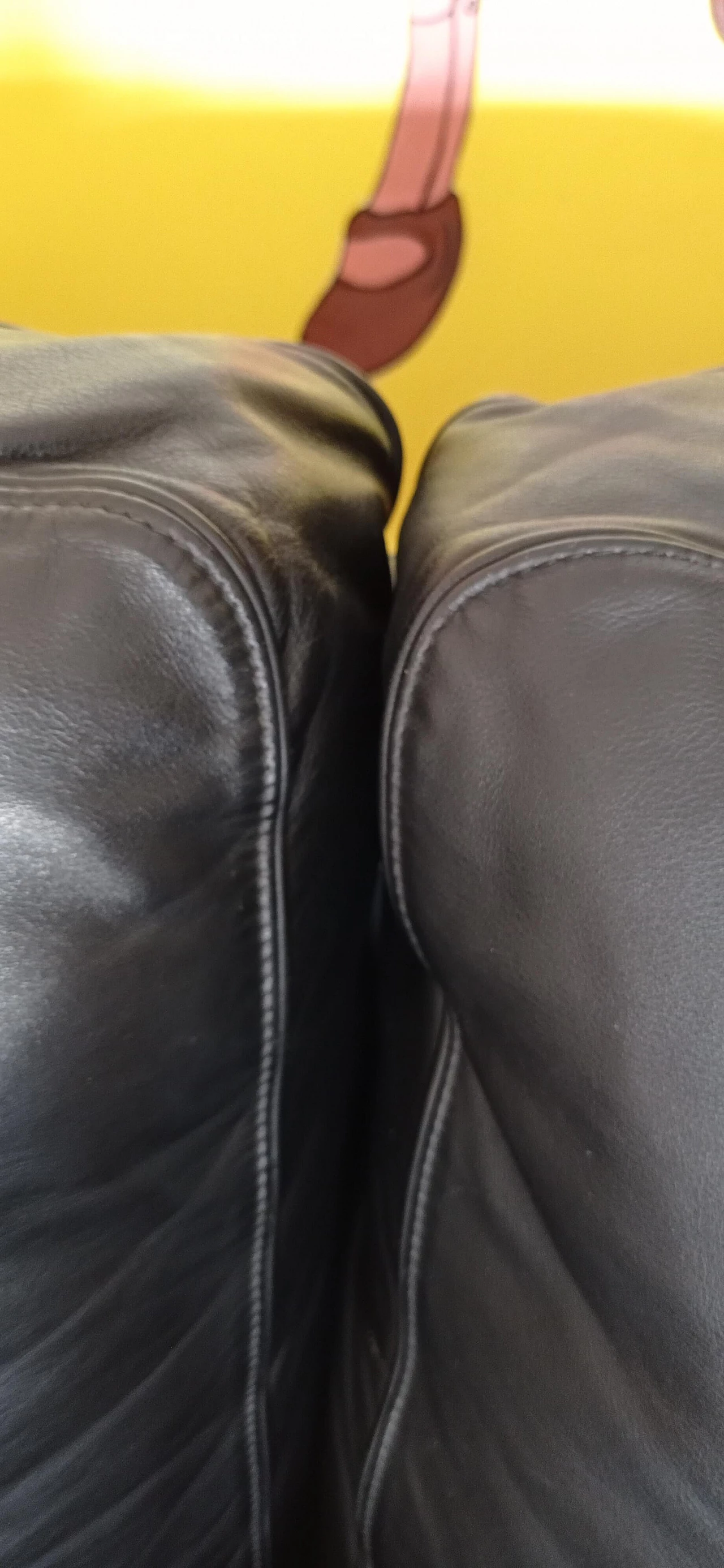 Divano Socrate di Poltrona Frau, anni '90 130