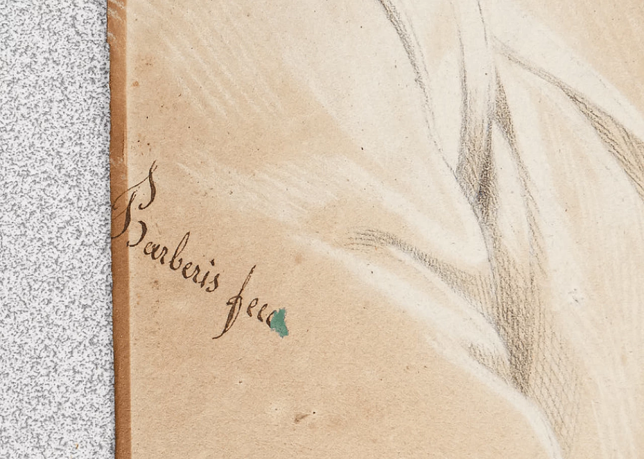 Antonio Barberis, Portrait of a Woman, pencil on paper, 19th century 1