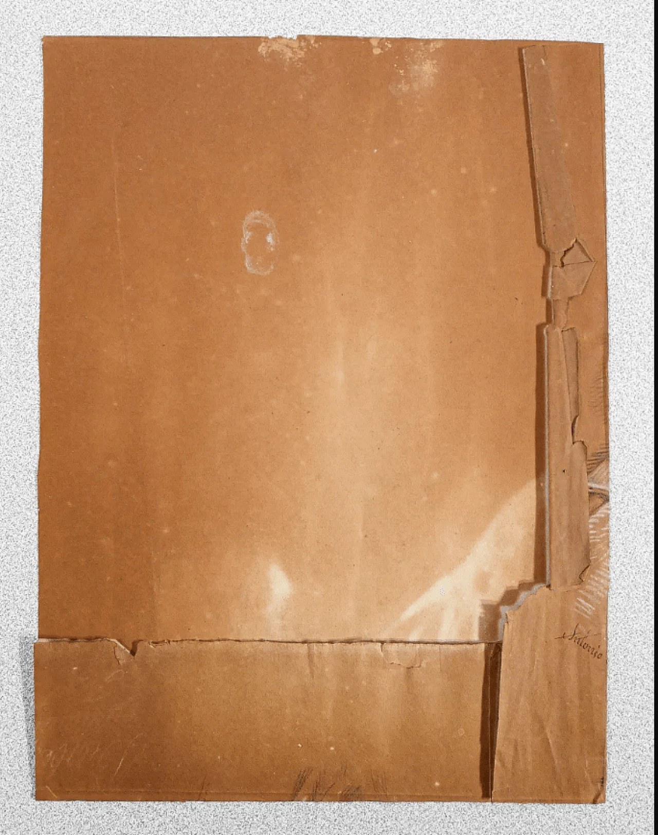 Antonio Barberis, Portrait of a Woman, pencil on paper, 19th century 7