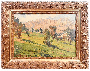 Paesaggio montano, dipinto a olio con cornice, metà '900