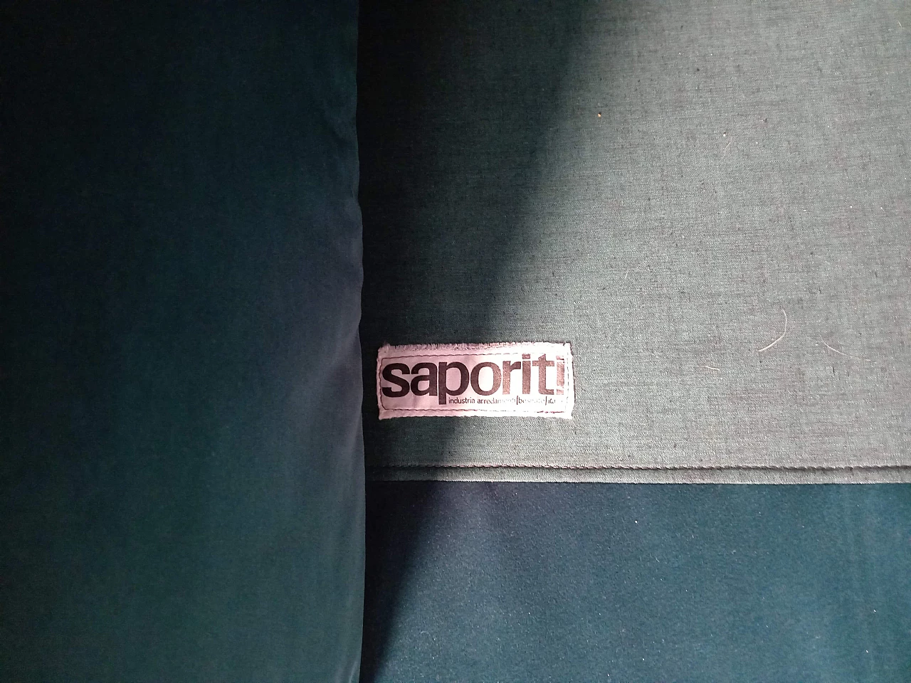 Larissa two-seater sofa by Vittorio Introini for Saporiti, 1970s 4
