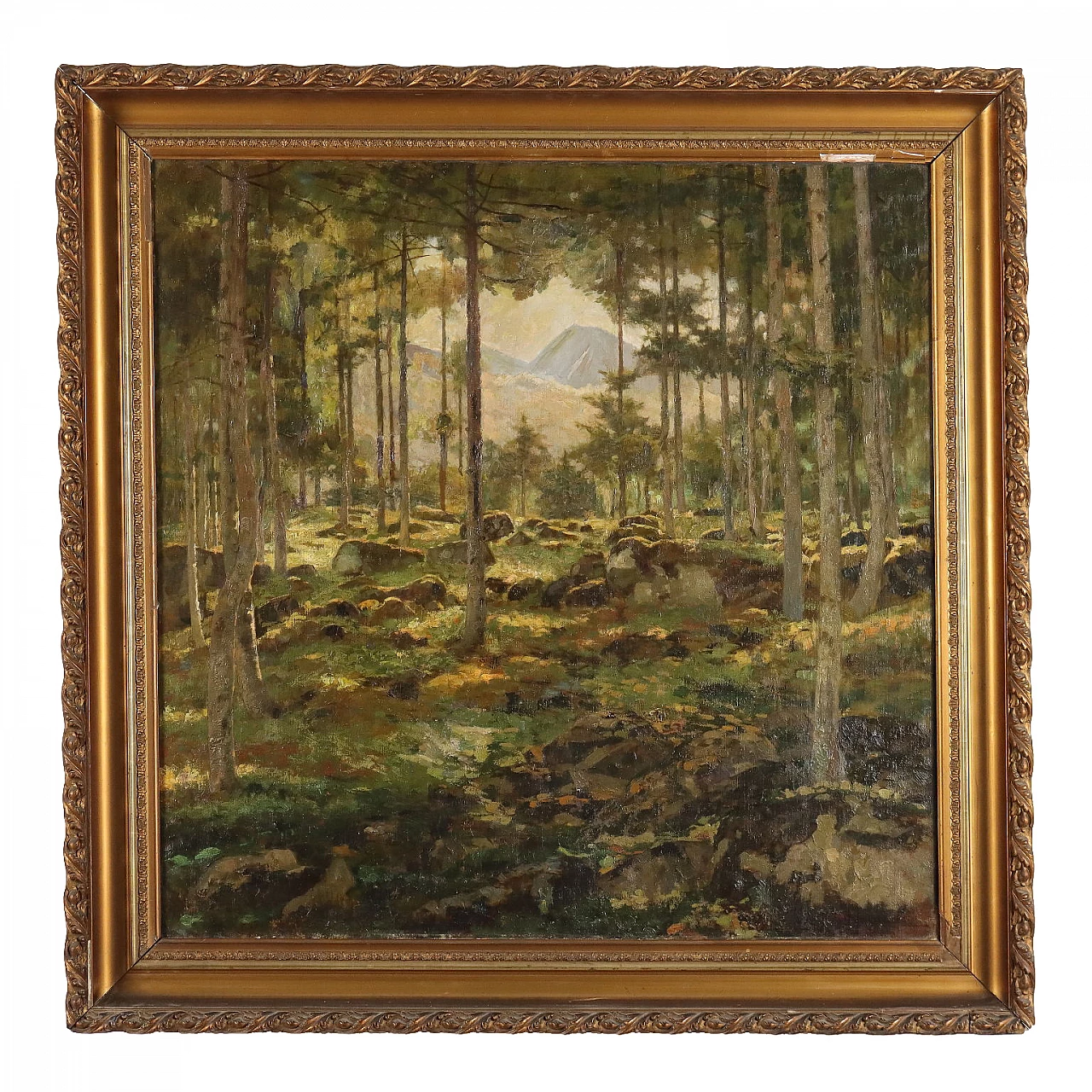 Bertolotti, wooded landscape, oil painting on canvas 1