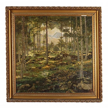 Bertolotti, wooded landscape, oil painting on canvas