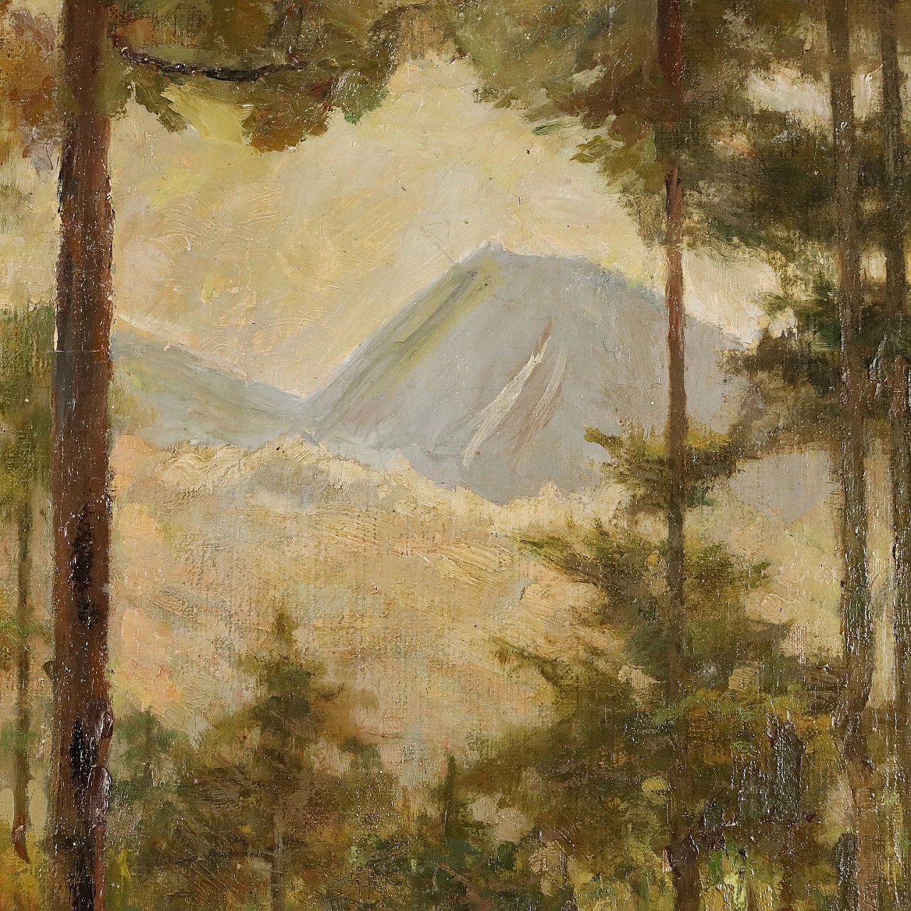 Bertolotti, paesaggio boschivo, dipinto a olio su tela 6