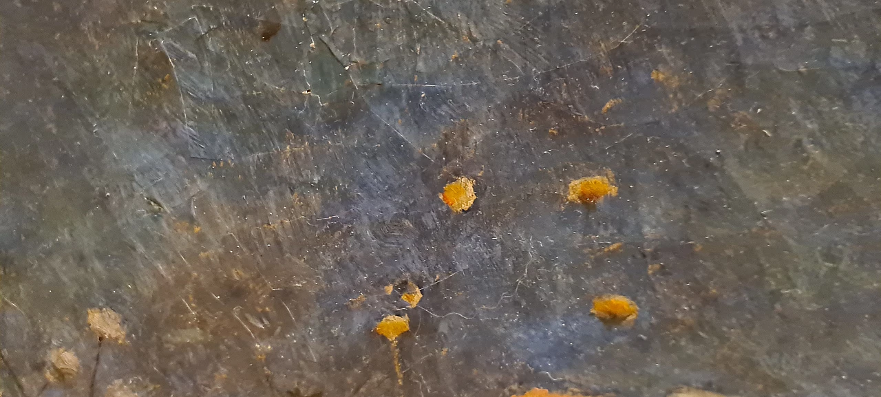 Pastorello a riposo, olio su tela 4