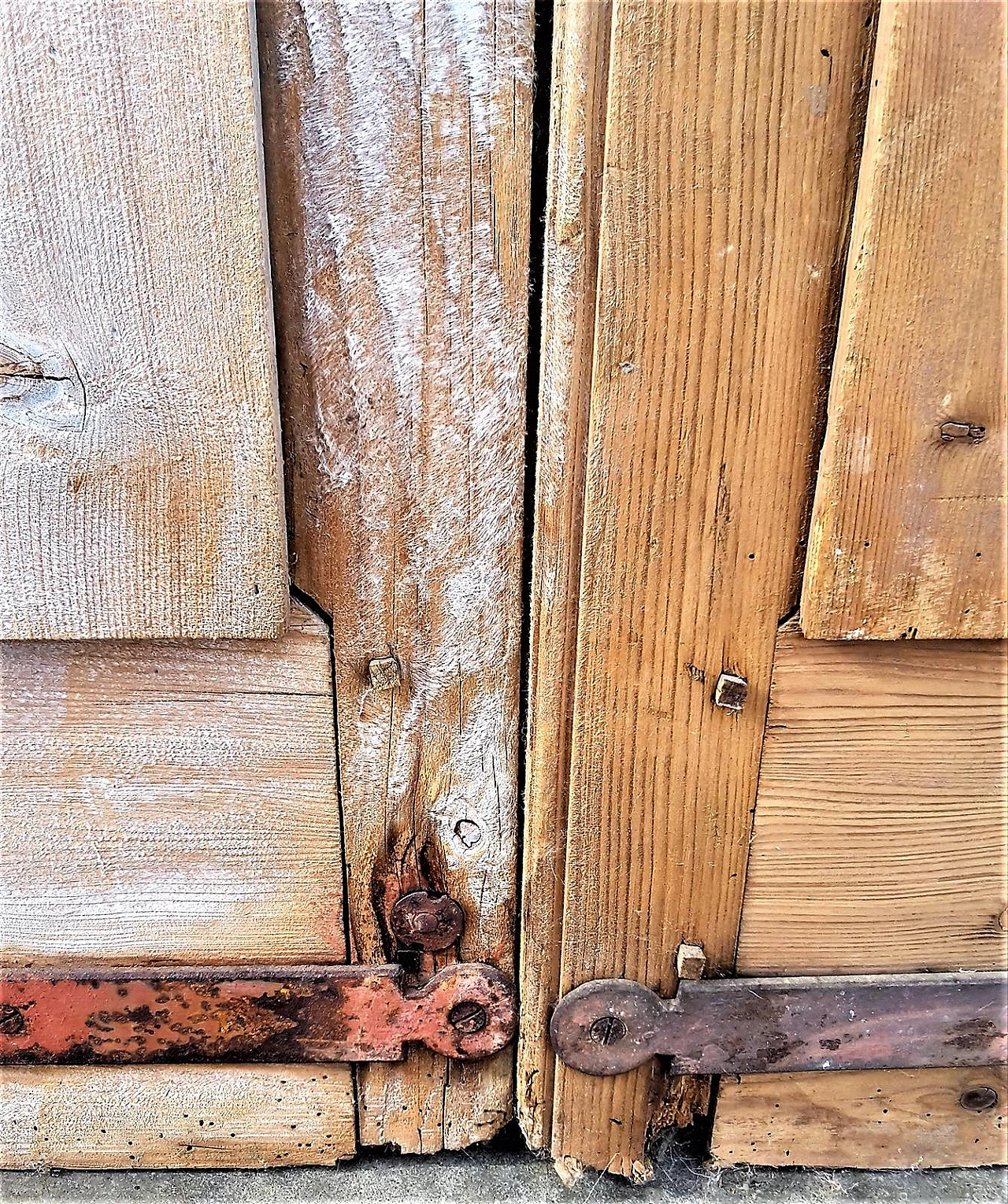 Larch and glass stable door, late 19th century 7