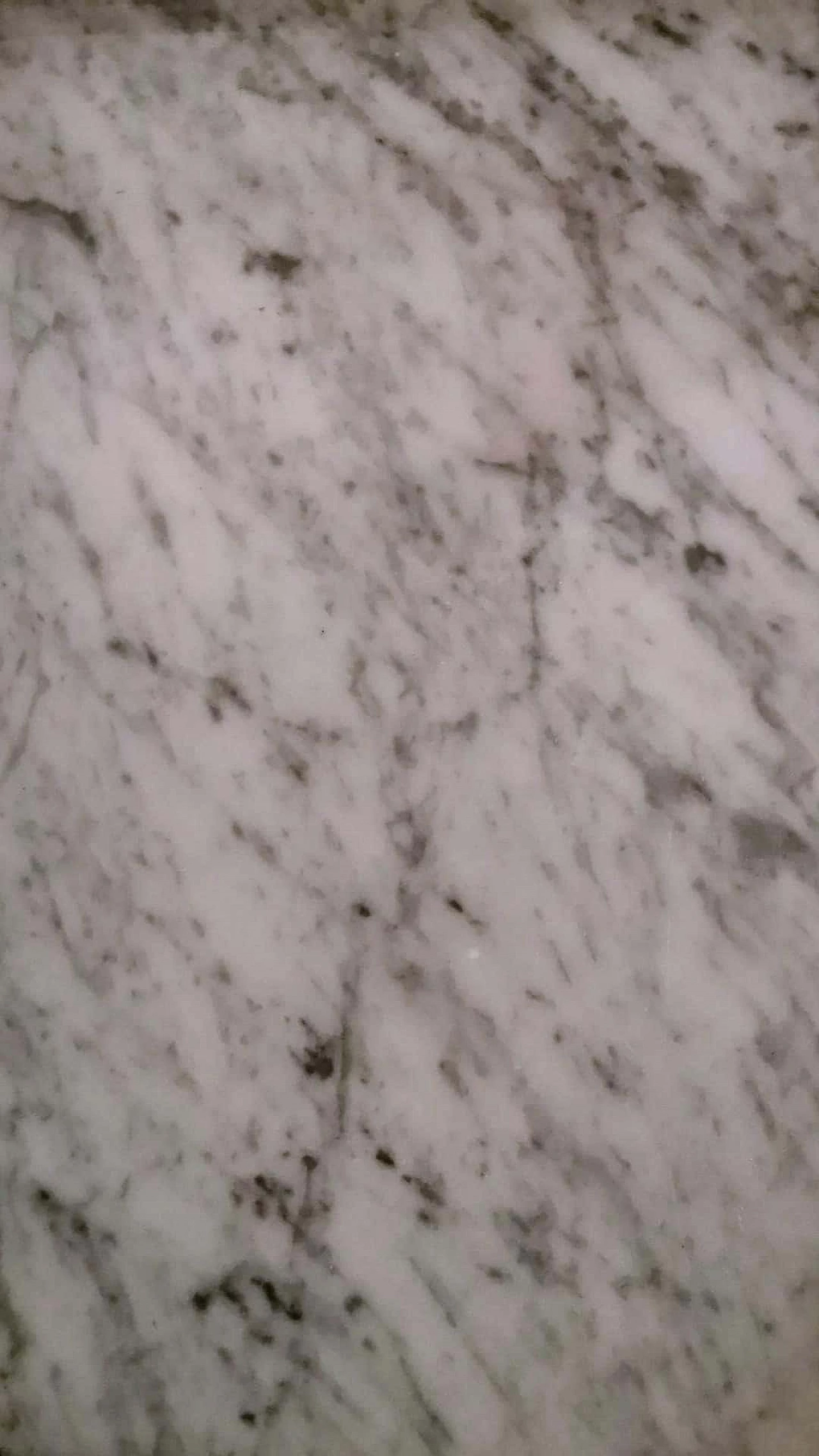 Comodino in legno e marmo di Carrara in stile Napoleone III, fine '800 17