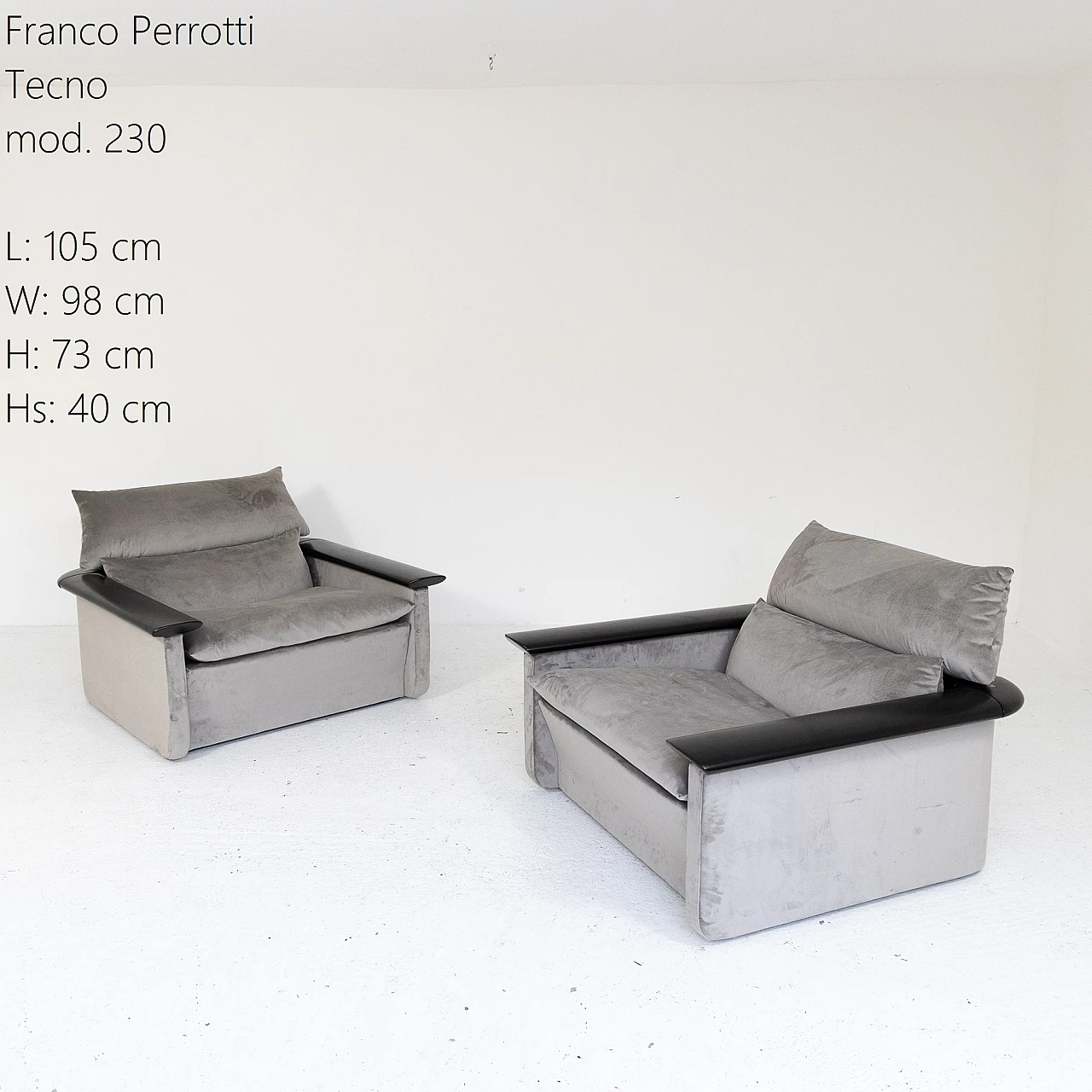 Pair of 230 armchairs by Franco Perrotti for Tecno, 1960s 1