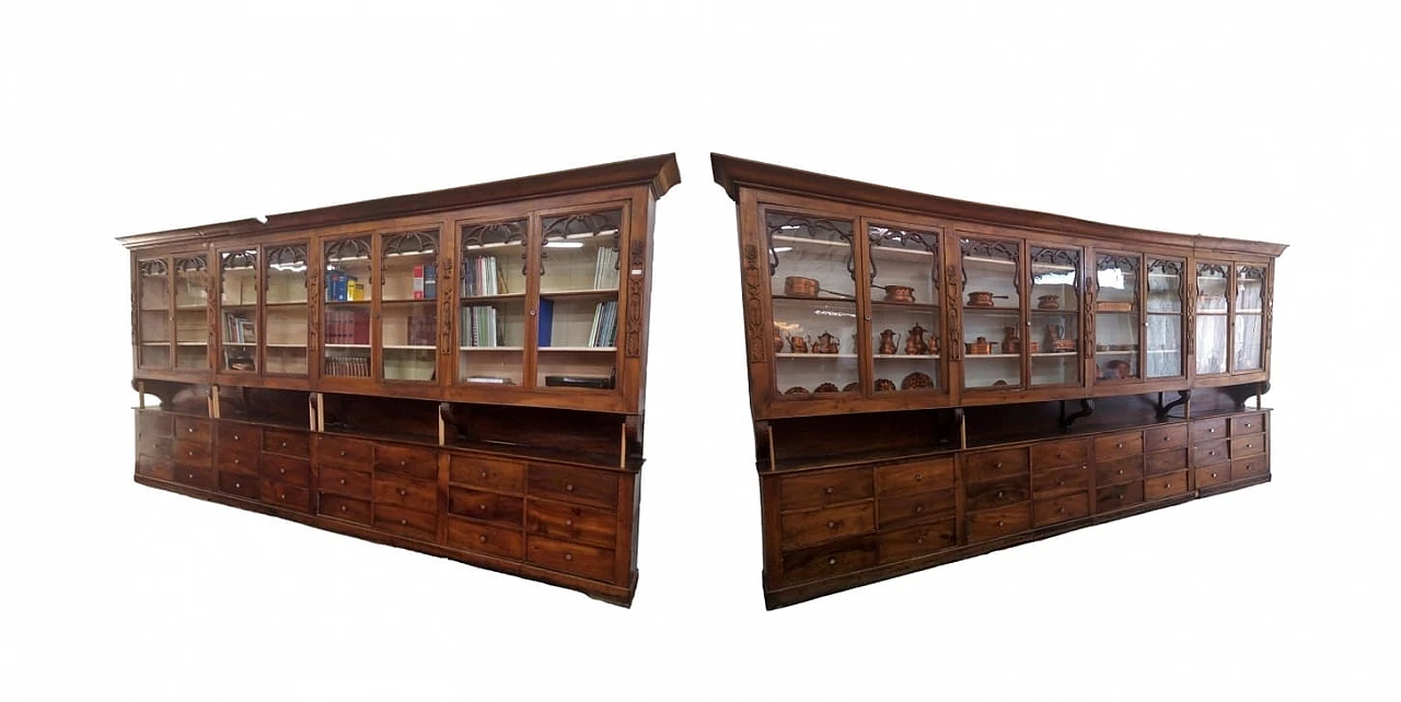 Coppia di vetrine da farmacia Luigi Filippo, metà '800 11