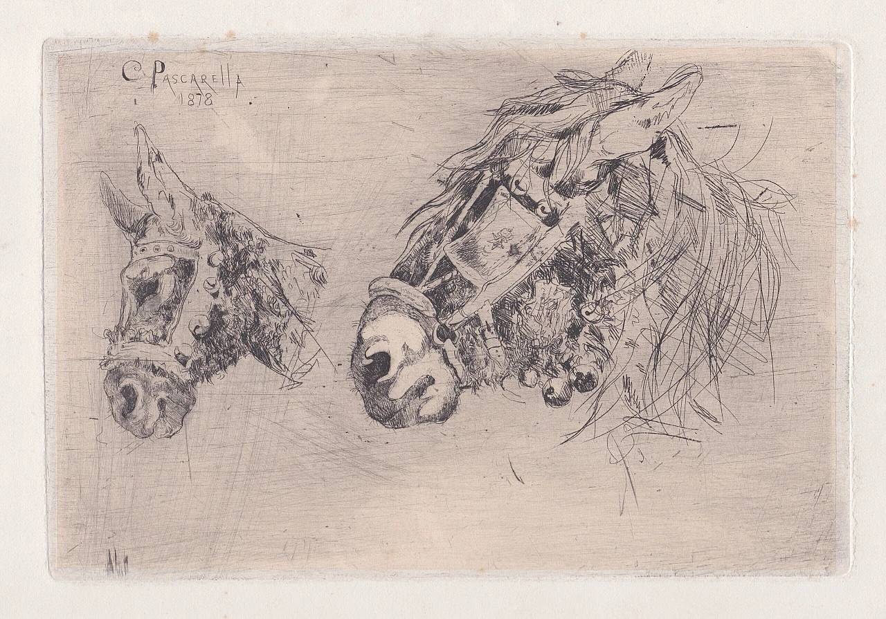 Cesare Pascarella, study of horse heads, etching, 1878 3
