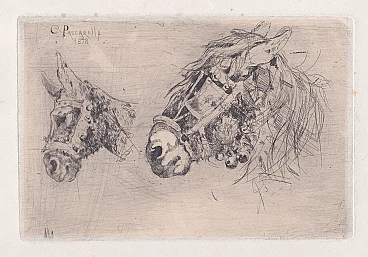 Cesare Pascarella, study of horse heads, etching, 1878
