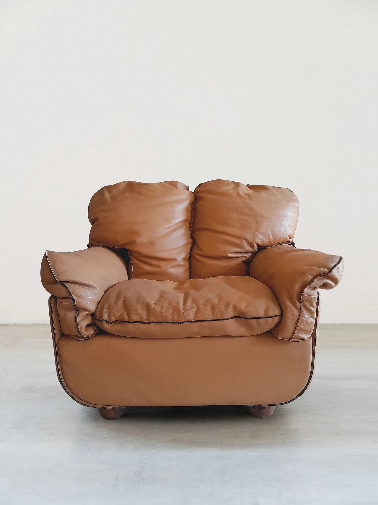 Divano e coppia di poltrone Nido di F. Nale per Lev&Lev, anni '70 1