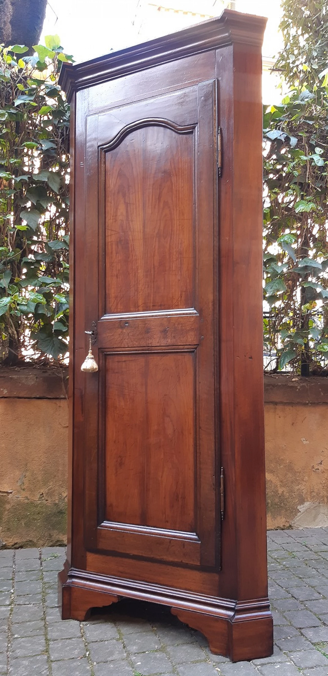 Piedmontese walnut corner cabinet, late 19th century 2