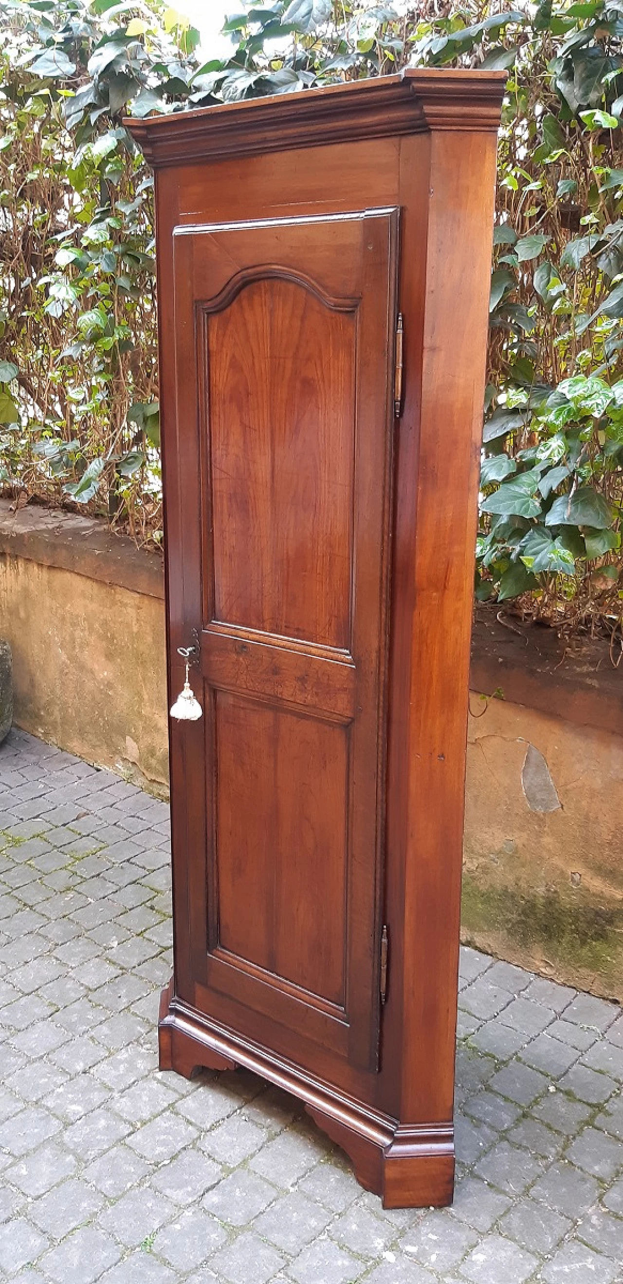 Piedmontese walnut corner cabinet, late 19th century 6