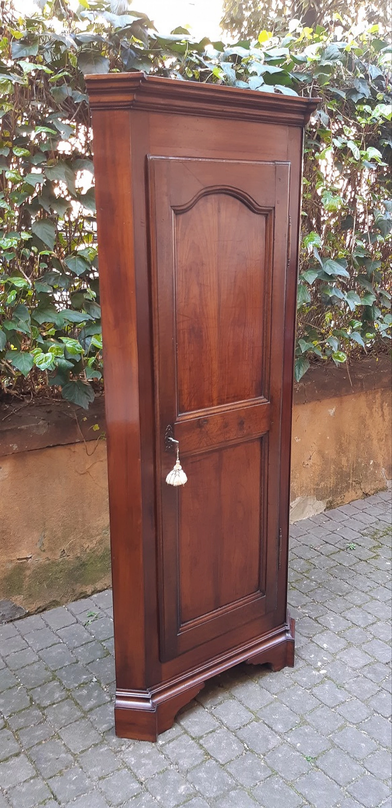 Piedmontese walnut corner cabinet, late 19th century 7