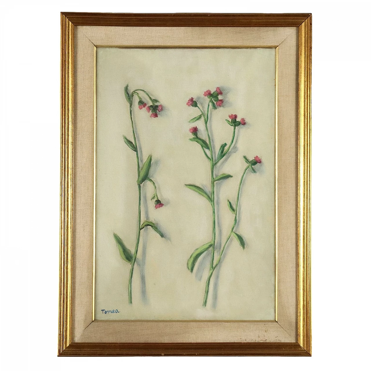 Fiorenzo Tomea, thistle flowers, oil painting on canvas, 1958 1
