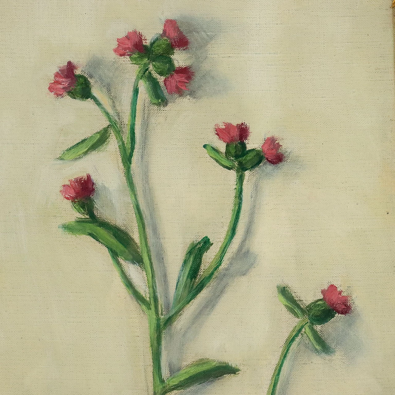 Fiorenzo Tomea, thistle flowers, oil painting on canvas, 1958 4