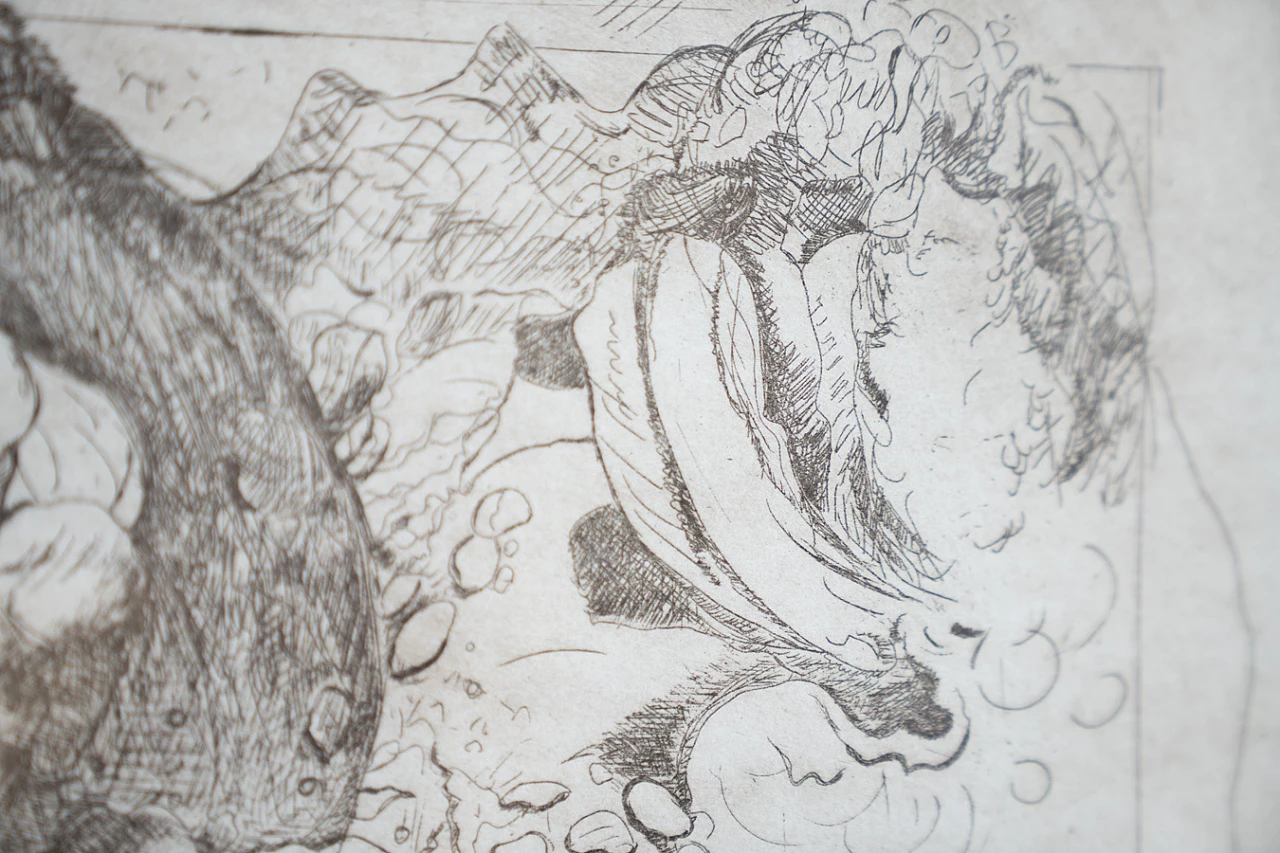 Adolescente - Enigma, coppia di disegni a inchiostro, anni '80 9