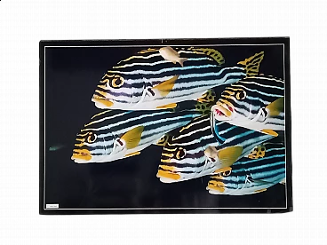 Poster fotografico di pesci tropicali di Giovanni Smorti, anni '80