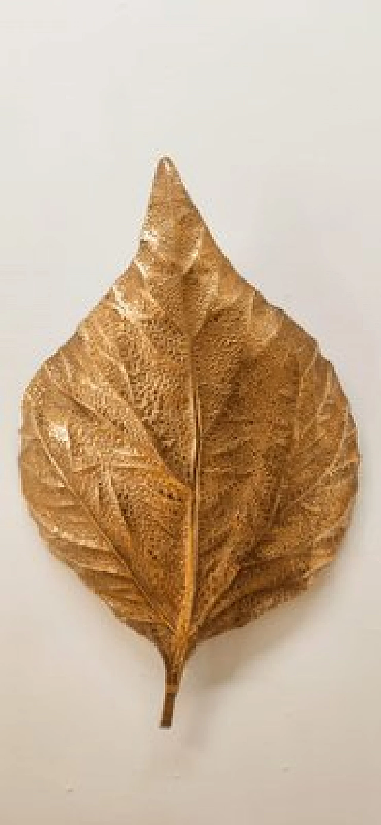 Applique a foglia di rabarbaro in ottone di Tommaso Barbi, anni '70 1