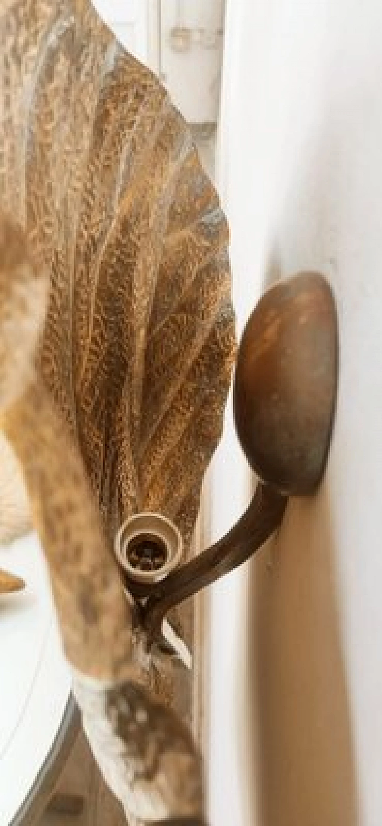 Applique a foglia di rabarbaro in ottone di Tommaso Barbi, anni '70 2