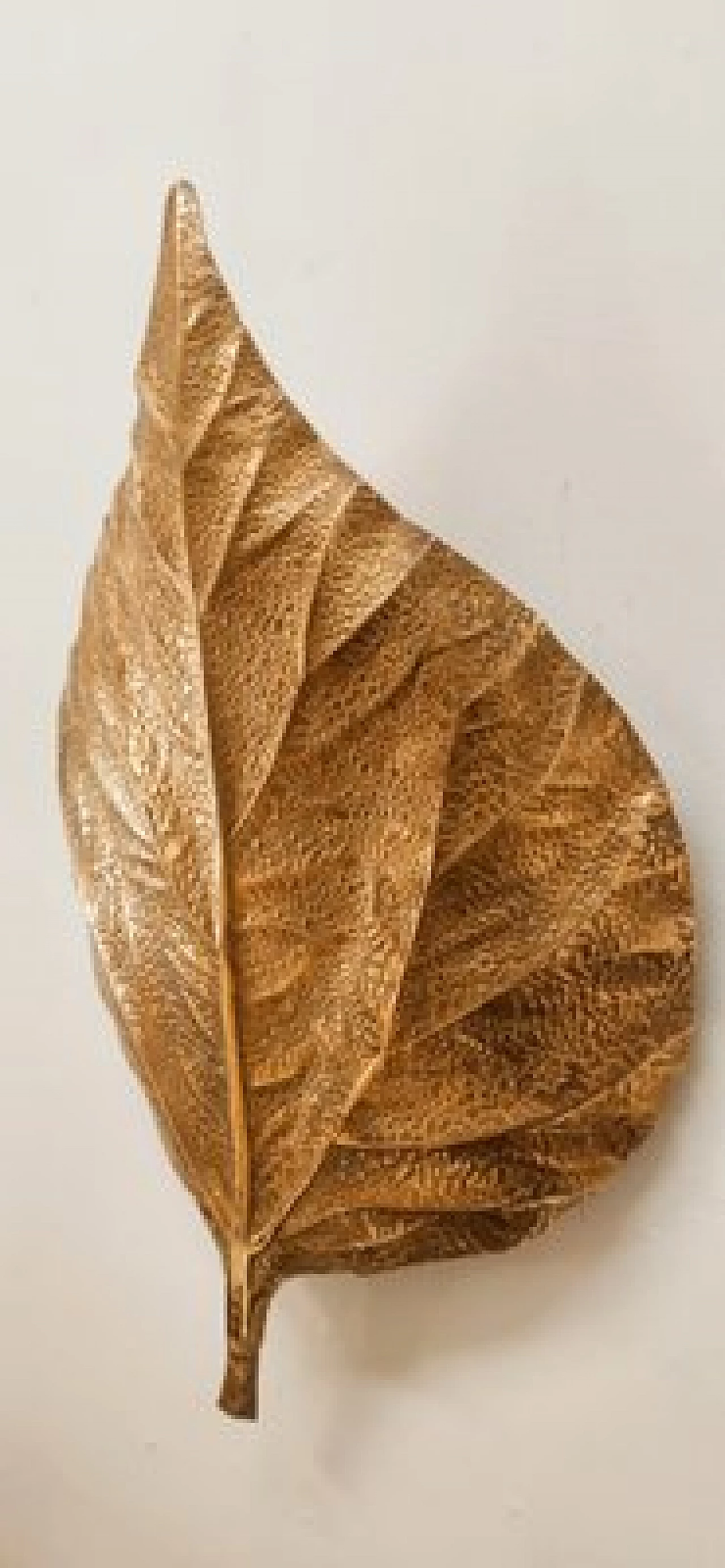 Applique a foglia di rabarbaro in ottone di Tommaso Barbi, anni '70 4