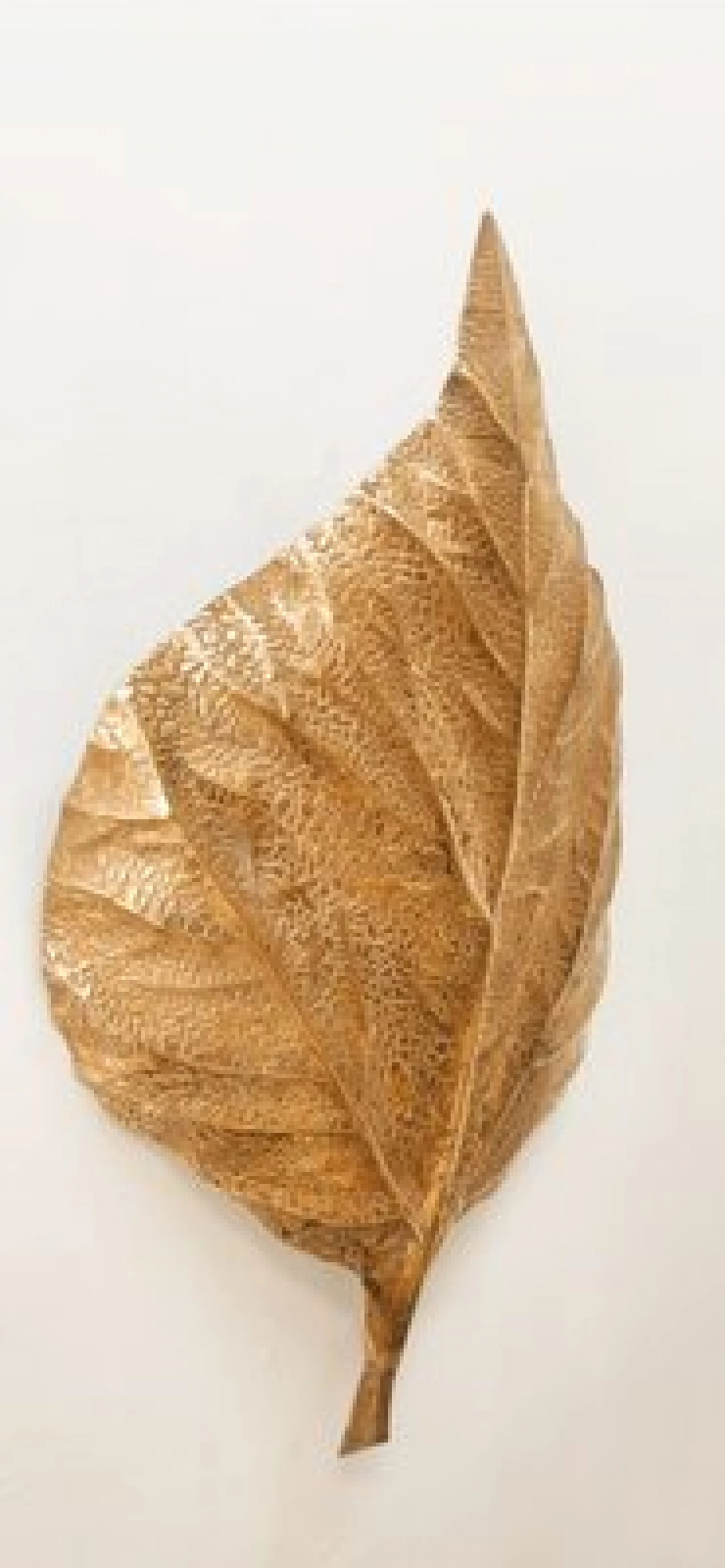 Applique a foglia di rabarbaro in ottone di Tommaso Barbi, anni '70 9
