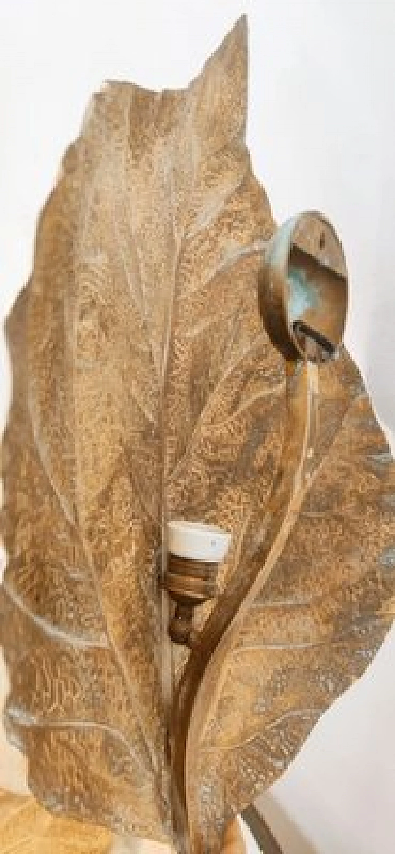 Applique a foglia di rabarbaro in ottone di Tommaso Barbi, anni '70 11